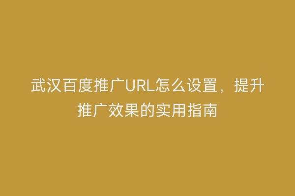 武汉百度推广URL怎么设置，提升推广效果的实用指南