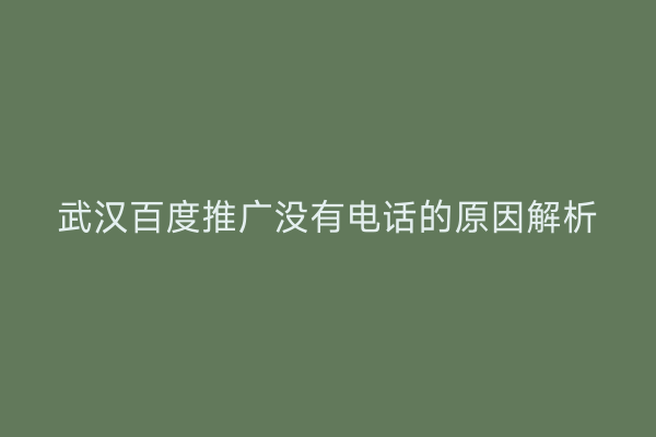 武汉百度推广没有电话的原因解析