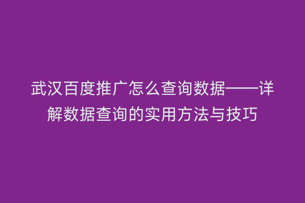 武汉百度推广怎么查询数据——详解数据查询的实用方法与技巧