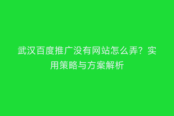 武汉百度推广没有网站怎么弄？实用策略与方案解析
