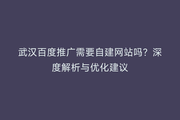 武汉百度推广需要自建网站吗？深度解析与优化建议