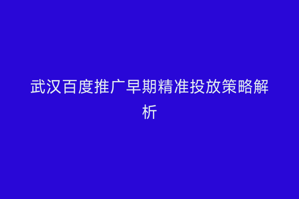 武汉百度推广早期精准投放策略解析