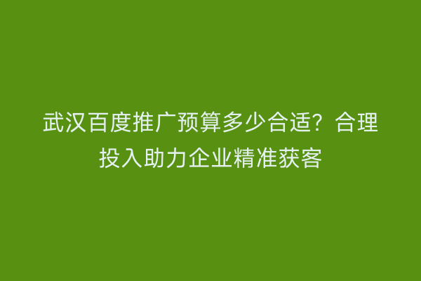 武汉百度推广预算多少合适？合理投入助力企业精准获客