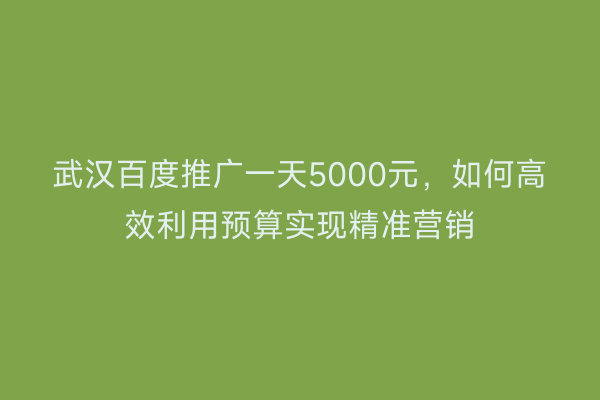武汉百度推广一天5000元，如何高效利用预算实现精准营销