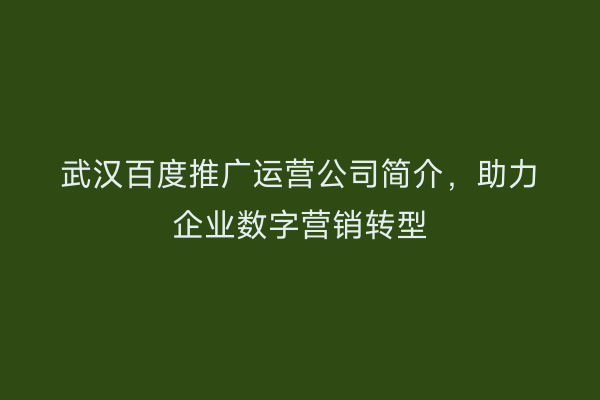 武汉百度推广运营公司简介，助力企业数字营销转型