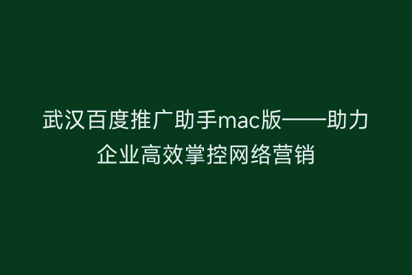 武汉百度推广助手mac版——助力企业高效掌控网络营销