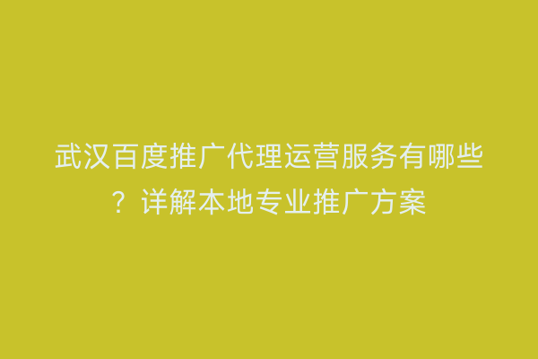 武汉百度推广代理运营服务有哪些？详解本地专业推广方案
