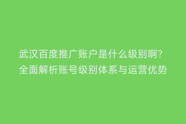 武汉百度推广账户是什么级别啊？全面解析账号级别体系与运营优势
