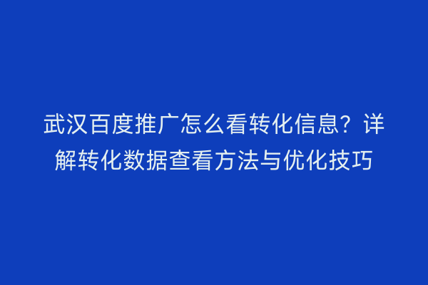 武汉百度推广怎么看转化信息？详解转化数据查看方法与优化技巧