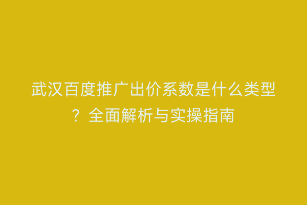 武汉百度推广出价系数是什么类型？全面解析与实操指南