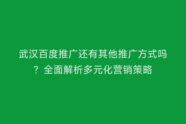 武汉百度推广还有其他推广方式吗？全面解析多元化营销策略