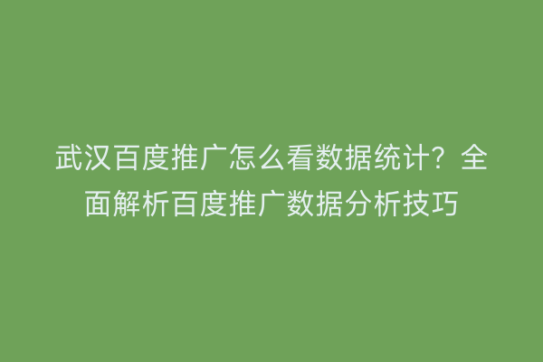 武汉百度推广怎么看数据统计？全面解析百度推广数据分析技巧