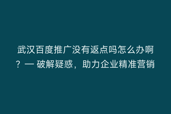 武汉百度推广没有返点吗怎么办啊？— 破解疑惑，助力企业精准营销
