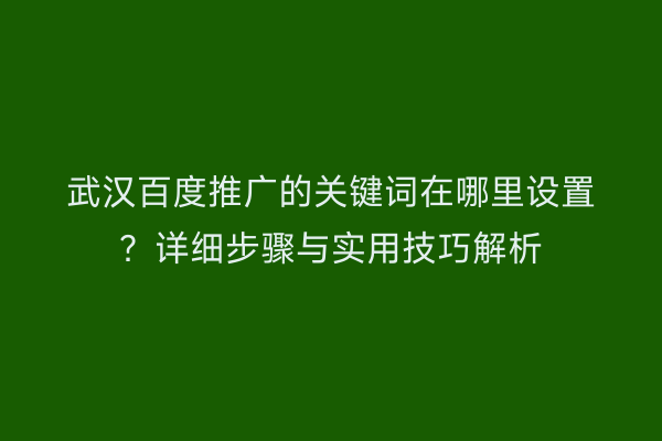 武汉百度推广的关键词在哪里设置？详细步骤与实用技巧解析