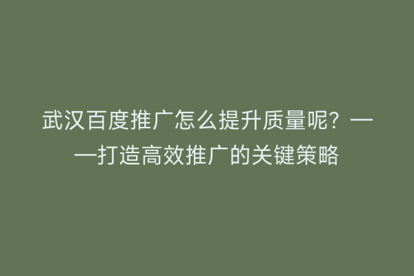 武汉百度推广怎么提升质量呢？——打造高效推广的关键策略