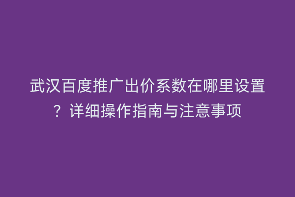武汉百度推广出价系数在哪里设置？详细操作指南与注意事项
