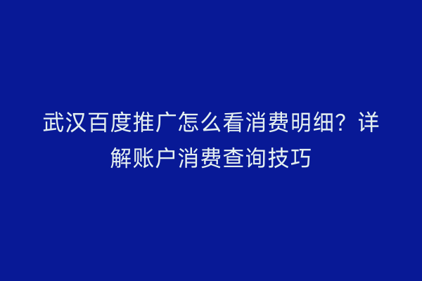 武汉百度推广怎么看消费明细？详解账户消费查询技巧