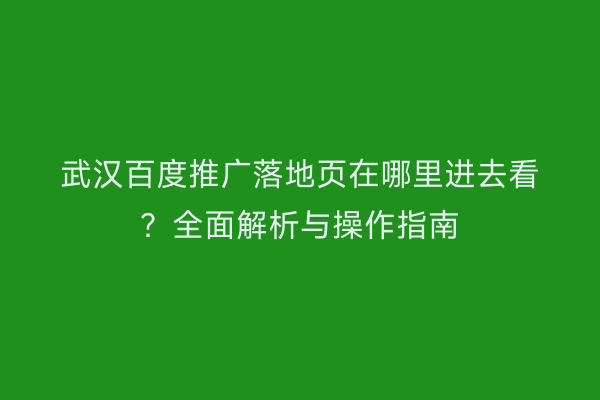 武汉百度推广落地页在哪里进去看？全面解析与操作指南