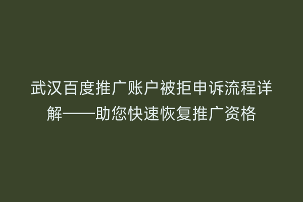 武汉百度推广账户被拒申诉流程详解——助您快速恢复推广资格