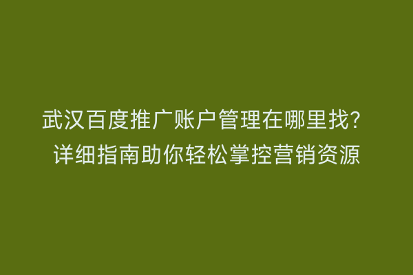 武汉百度推广账户管理在哪里找？详细指南助你轻松掌控营销资源