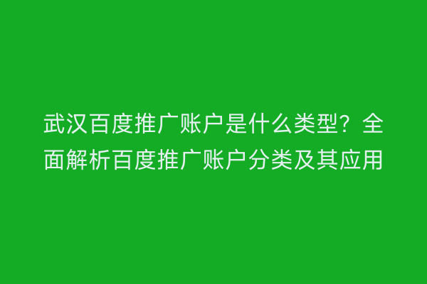 武汉百度推广账户是什么类型？全面解析百度推广账户分类及其应用