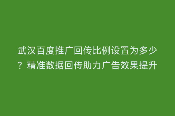 武汉百度推广回传比例设置为多少？精准数据回传助力广告效果提升