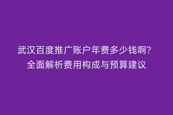 武汉百度推广账户年费多少钱啊？全面解析费用构成与预算建议