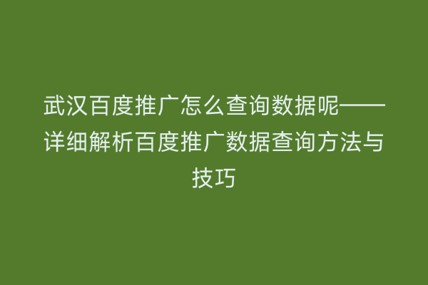 武汉百度推广怎么查询数据呢——详细解析百度推广数据查询方法与技巧