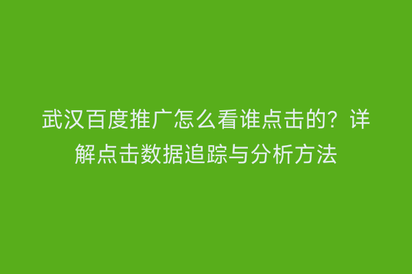 武汉百度推广怎么看谁点击的？详解点击数据追踪与分析方法