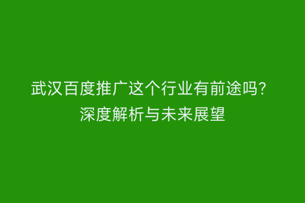 武汉百度推广这个行业有前途吗？深度解析与未来展望