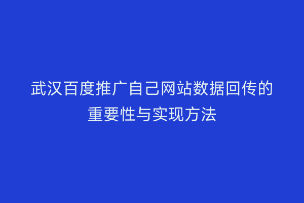 武汉百度推广自己网站数据回传的重要性与实现方法