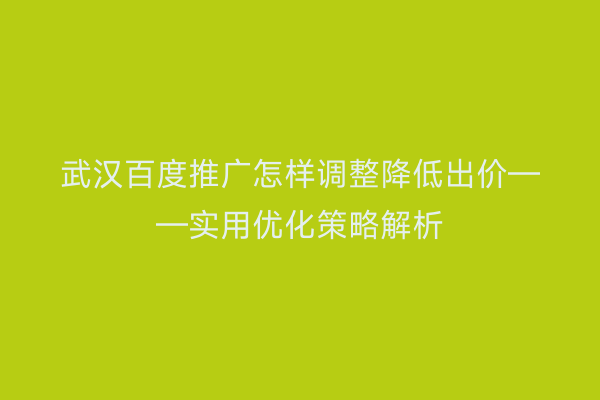 武汉百度推广怎样调整降低出价——实用优化策略解析
