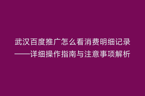 武汉百度推广怎么看消费明细记录——详细操作指南与注意事项解析