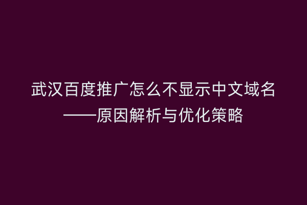 武汉百度推广怎么不显示中文域名——原因解析与优化策略