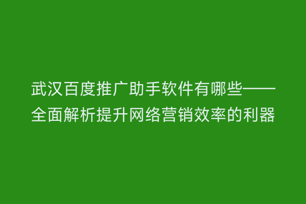 武汉百度推广助手软件有哪些——全面解析提升网络营销效率的利器