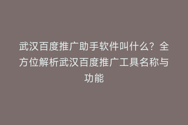 武汉百度推广助手软件叫什么？全方位解析武汉百度推广工具名称与功能