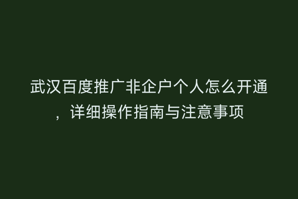 武汉百度推广非企户个人怎么开通，详细操作指南与注意事项