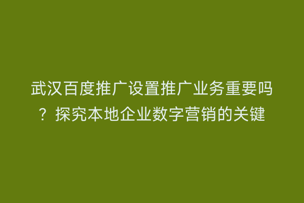武汉百度推广设置推广业务重要吗？探究本地企业数字营销的关键