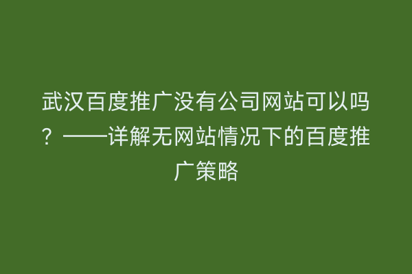 武汉百度推广没有公司网站可以吗？——详解无网站情况下的百度推广策略
