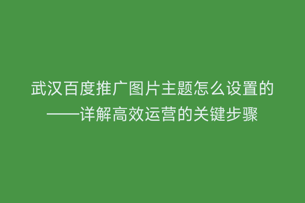 武汉百度推广图片主题怎么设置的——详解高效运营的关键步骤
