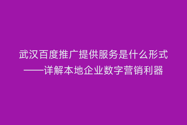 武汉百度推广提供服务是什么形式——详解本地企业数字营销利器