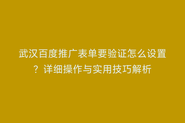 武汉百度推广表单要验证怎么设置？详细操作与实用技巧解析