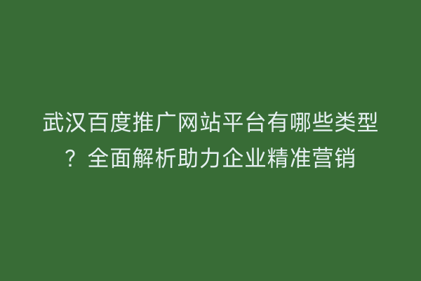 武汉百度推广网站平台有哪些类型？全面解析助力企业精准营销