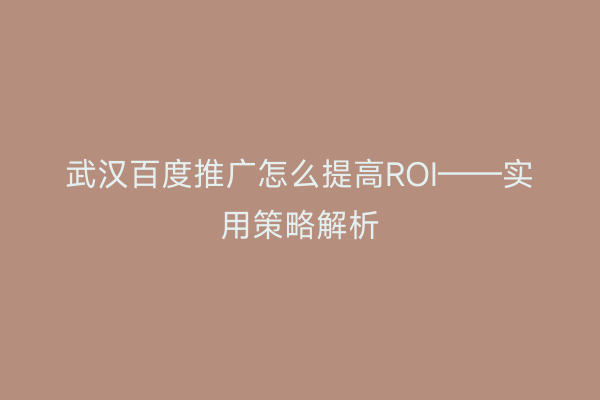 武汉百度推广怎么提高ROI——实用策略解析