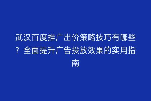 武汉百度推广出价策略技巧有哪些？全面提升广告投放效果的实用指南