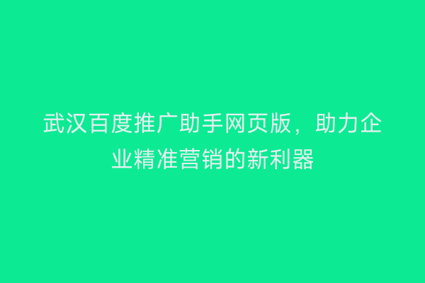 武汉百度推广助手网页版，助力企业精准营销的新利器