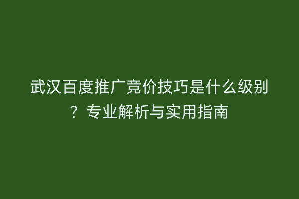 武汉百度推广竞价技巧是什么级别？专业解析与实用指南