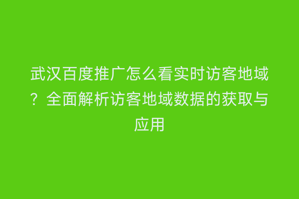 武汉百度推广怎么看实时访客地域？全面解析访客地域数据的获取与应用