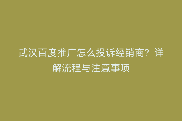 武汉百度推广怎么投诉经销商？详解流程与注意事项