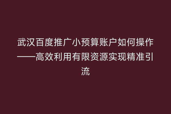 武汉百度推广小预算账户如何操作——高效利用有限资源实现精准引流